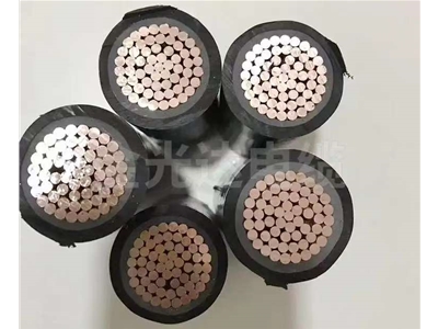 銅芯低壓電纜 (2)