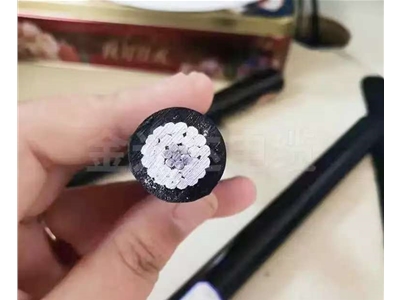 架空絕緣線 （6）