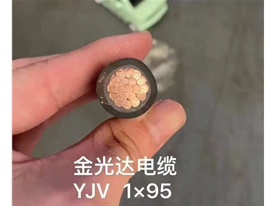 金光達電纜YJV-1X95